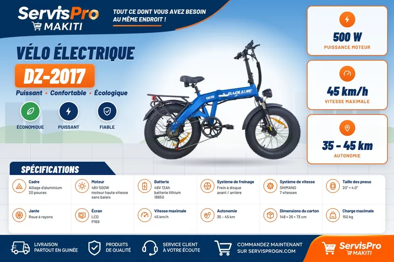 Ebike - DZ-2017
